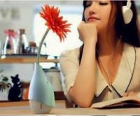Tên sản phẩm